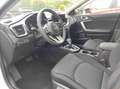 Kia Ceed / cee'd SPIN 1.5 T-GDI AT Kamera*Sitzheizung*APP*Navi 1... Rot - thumbnail 8