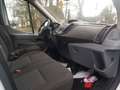 Ford Transit Kasten 350 L4 H3 Motor dreht netto 5995€ Weiß - thumbnail 24