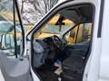 Ford Transit Kasten 350 L4 H3 Motor dreht netto 5995€ Weiß - thumbnail 30