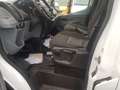Ford Transit Kasten 350 L4 H3 Motor dreht netto 5995€ Weiß - thumbnail 16