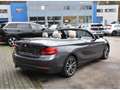 BMW 218 dA Cabrio Sportline CUIR GPS PDC ACCES CONFORT Grau - thumbnail 5