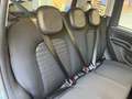 Fiat Panda Pandina Cross 1.0 70 cv Hybrid KM 0 *PROMO* Vert - thumbnail 12