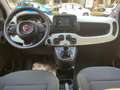 Fiat Panda Pandina Cross 1.0 70 cv Hybrid KM 0 *PROMO* Vert - thumbnail 9