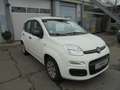 Fiat Panda Panda/ 1.2 Pop Weiß - thumbnail 5