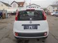 Fiat Panda Panda/ 1.2 Pop Weiß - thumbnail 12