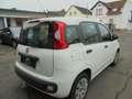 Fiat Panda Panda/ 1.2 Pop Weiß - thumbnail 4
