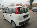 Fiat Panda Panda/ 1.2 Pop Weiß - thumbnail 3