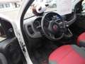 Fiat Panda Panda/ 1.2 Pop Weiß - thumbnail 9