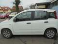 Fiat Panda Panda/ 1.2 Pop Weiß - thumbnail 2