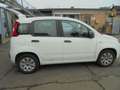 Fiat Panda Panda/ 1.2 Pop Weiß - thumbnail 11