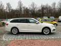 Skoda Octavia Combi iV DSG - Columbus*Reise*Kamera*AHK!!! Weiß - thumbnail 5