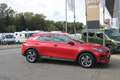 Kia XCeed Xceed 1,0 TGDI GPF Silber Rot - thumbnail 1