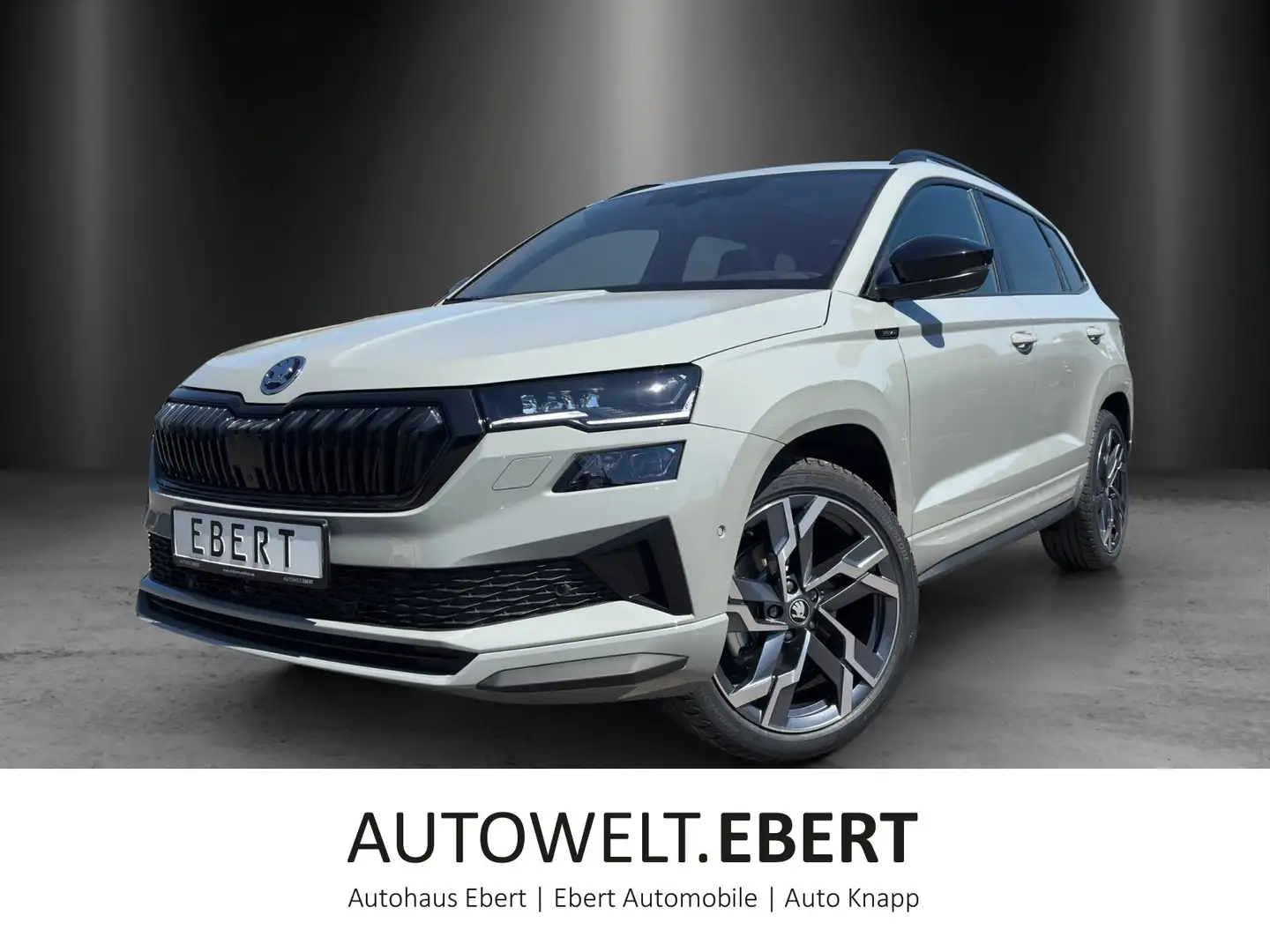 Skoda Karoq Sportline 2,0 TDI 110 kW DSG 4x4 Grau - 1