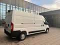 Opel Movano HKa L3H2 3,5t Edition 270 Winkel Weiß - thumbnail 2