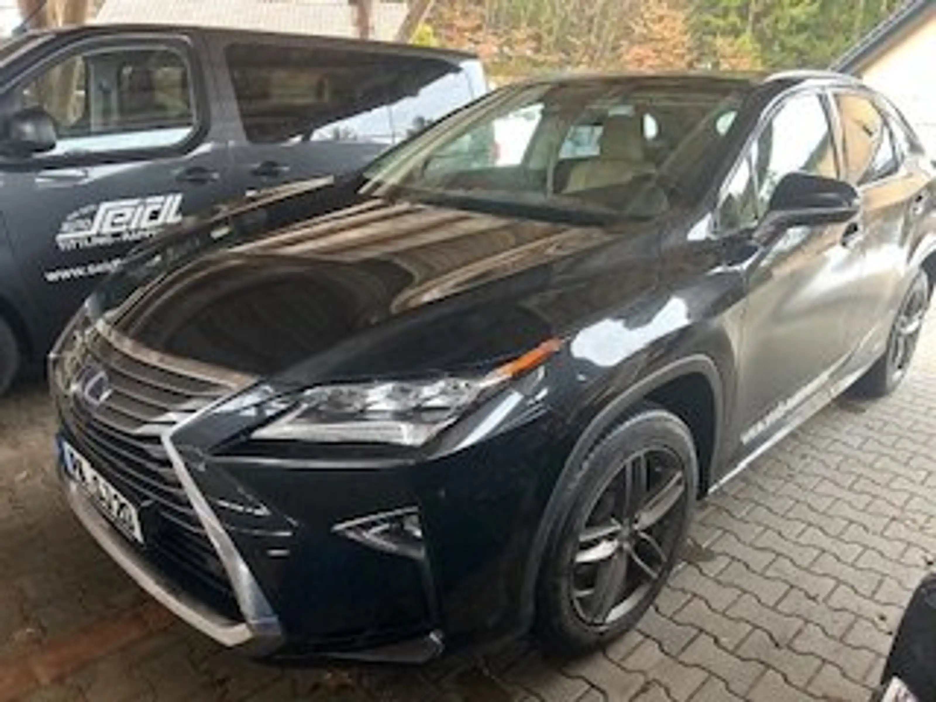 Lexus RX 450h Hybrid Executive Line Panoramadach, ab.AHK, Kamera