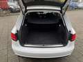 Audi A4 Avant 2.0 TDI Pro Line Navi Cruise Clima Lmv Bílá - thumbnail 27