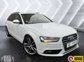 Audi A4 Avant 2.0 TDI Pro Line Navi Cruise Clima Lmv Bílá - thumbnail 4