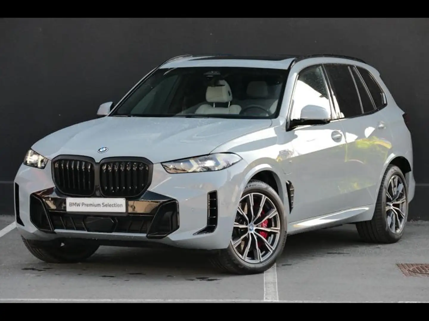 BMW X5 xDrive50e M Sport PRO | TOWB | Gris - 1