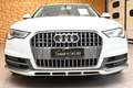 Audi A6 allroad 3.0TDI S-TR.BUSINESS PLUS 218CV NAVI GANCIO18"FULL Blanco - thumbnail 5