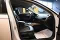 Audi A6 allroad 3.0TDI S-TR.BUSINESS PLUS 218CV NAVI GANCIO18"FULL Blanco - thumbnail 9