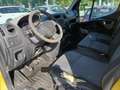 Renault Master T35 2.3 dCi/125 Cassone + IVA 22% Jaune - thumbnail 14
