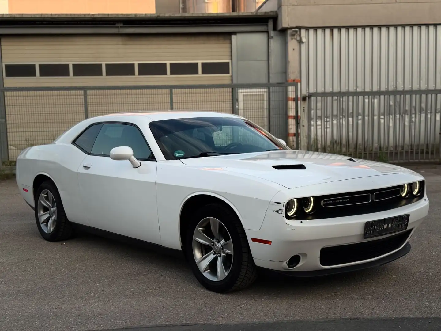 Dodge Challenger 3.6 Automatik Facelift LPG Weiß - 2