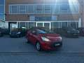 Ford Ka/Ka+ 2009 Ka 1.2 + 69cv E6 Rosso - thumbnail 4