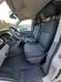 Volkswagen T6.1 Transporter Kasten sehr guter Zustand Weiß - thumbnail 16