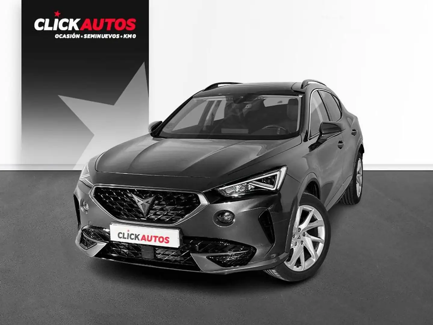 CUPRA Formentor 2.0 TDI 150 Gris - 1