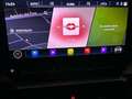CUPRA Formentor 2.0 TDI 150 Gris - thumbnail 12