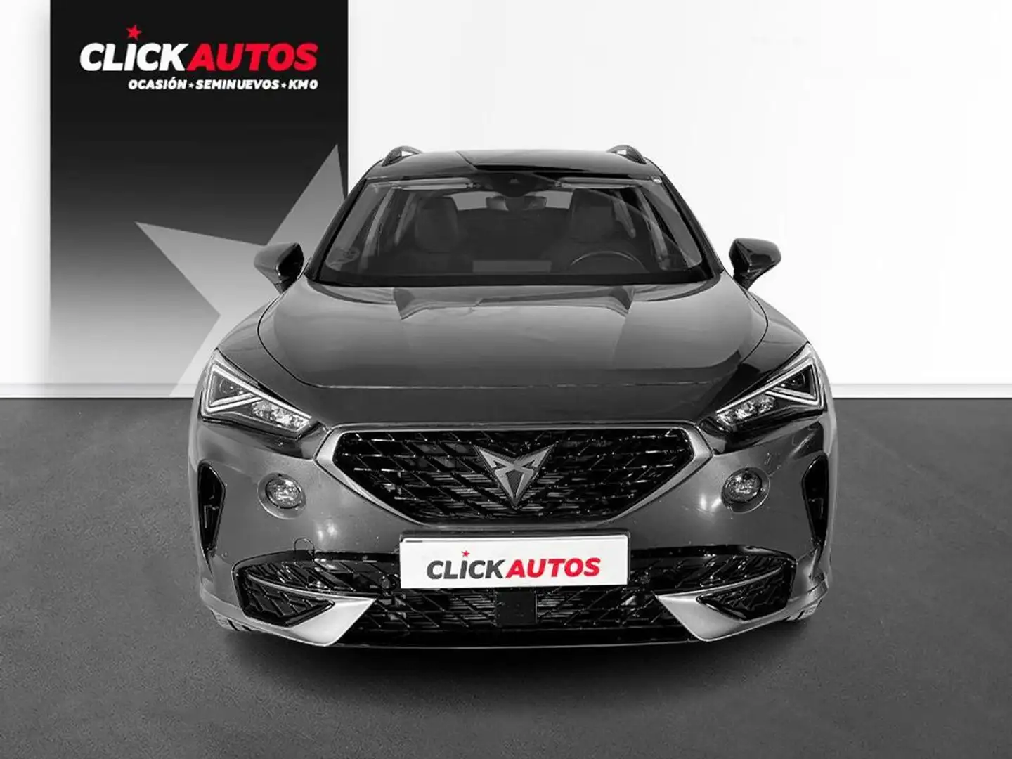 CUPRA Formentor 2.0 TDI 150 Gris - 2