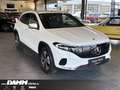 Mercedes-Benz EQA 350 EQA 350 4M Progr.Adv+/360°/Memory/FAP/70kW/+Flex Weiß - thumbnail 2
