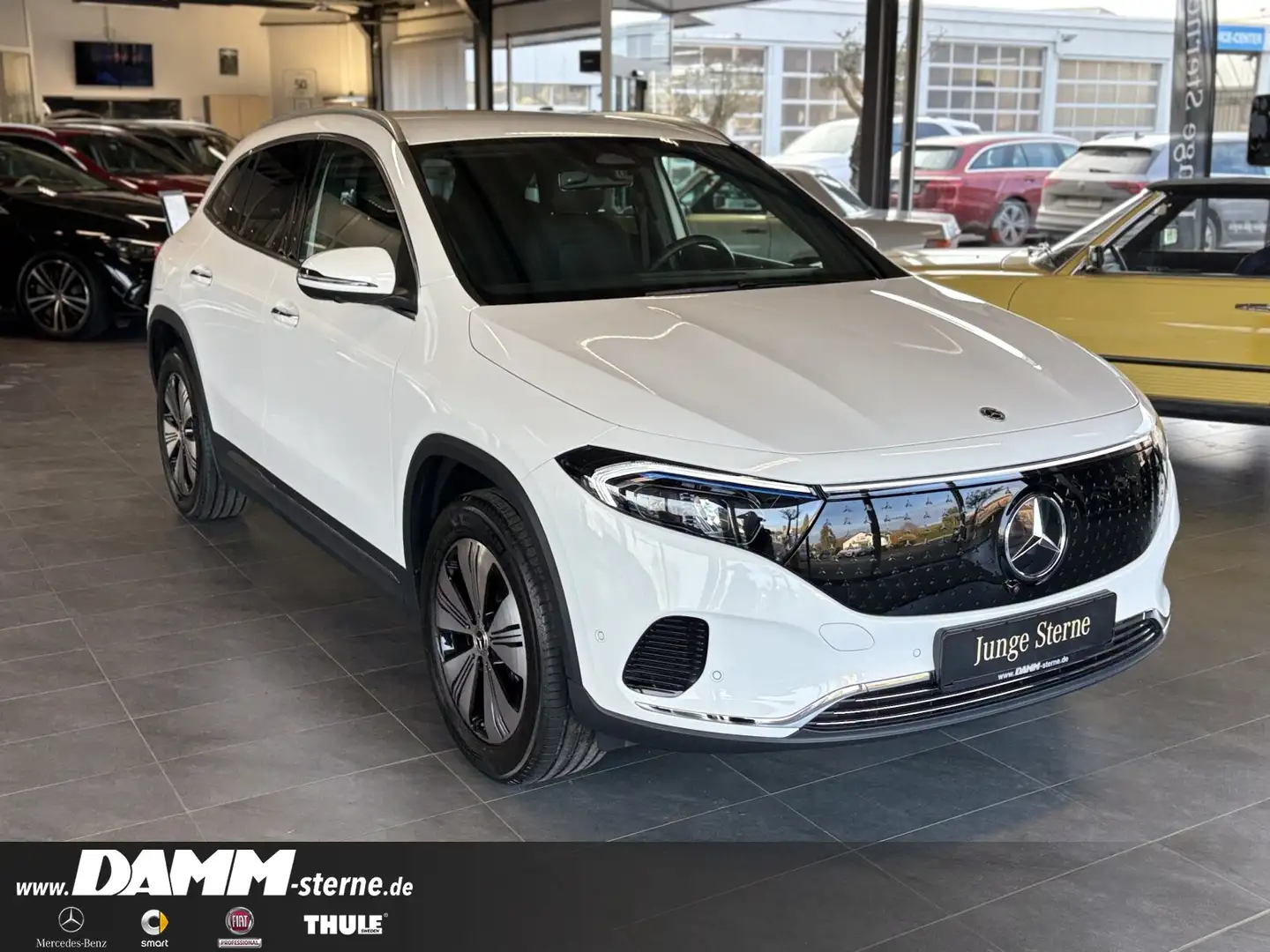 Mercedes-Benz EQA 350 EQA 350 4M Progr.Adv+/360°/Memory/FAP/70kW/+Flex Weiß - 2
