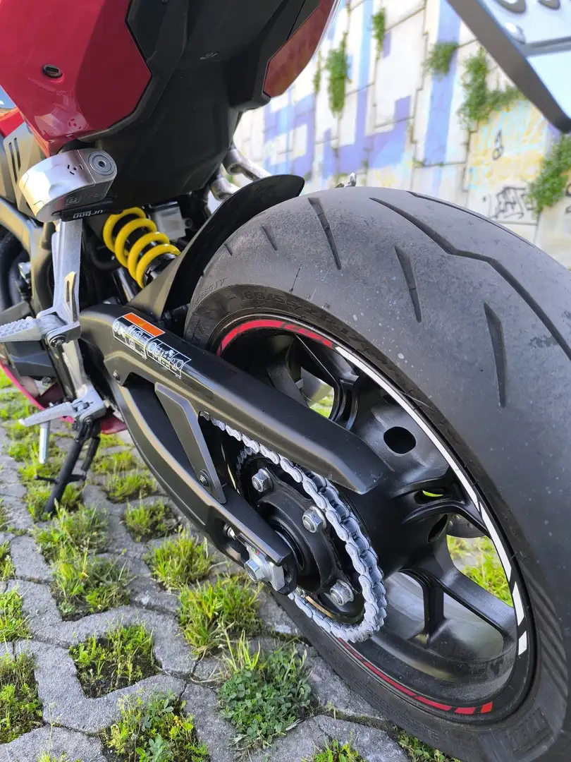 Honda CBR 650 Sport Rot - 2