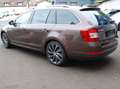 Skoda Octavia Combi 2.0 TDI (Green tec) 4x4 DSG L Braun - thumbnail 5