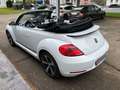 Volkswagen Beetle Cabriolet Cup+Leder+Navi+LED+SHZ+BT Blanco - thumbnail 6