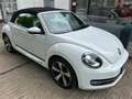 Volkswagen Beetle Cabriolet Cup+Leder+Navi+LED+SHZ+BT Blanco - thumbnail 12
