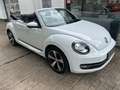 Volkswagen Beetle Cabriolet Cup+Leder+Navi+LED+SHZ+BT Weiß - thumbnail 2
