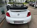 Volkswagen Beetle Cabriolet Cup+Leder+Navi+LED+SHZ+BT Blanco - thumbnail 4
