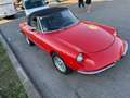 Alfa Romeo Spider Rot - thumbnail 15