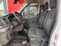 Ford Transit Kasten 2,0 EcoBlue L2H2 350 Trend Weiß - thumbnail 10