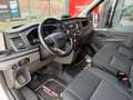 Ford Transit Transit Kasten 2,0 EcoBlue L2H2 350 Trend Weiß - thumbnail 7