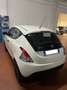 Lancia Ypsilon 1.2 69 CV 5 porte GPL Ecochic Elefantino Blu - Ga Bianco - thumbnail 7