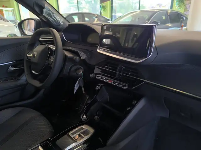 Peugeot 2008 view 10