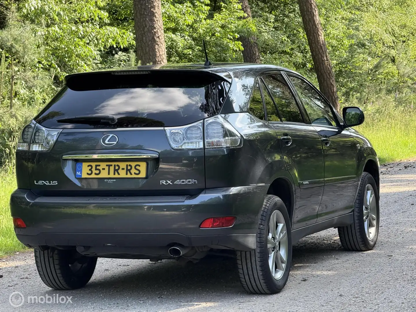 Lexus RX 400 400h Executive *Dealer Onderhouden* Grau - 2