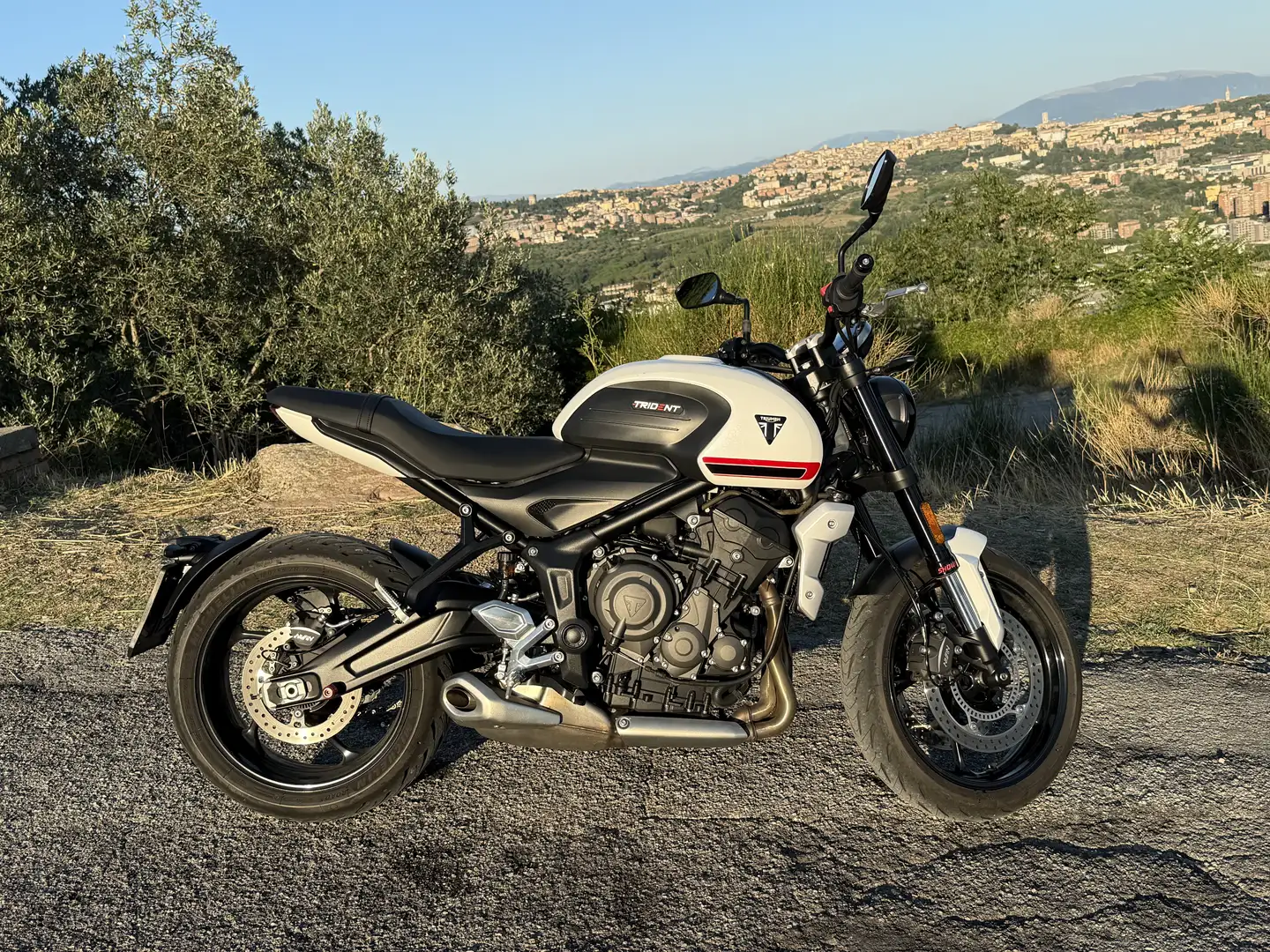 Triumph Trident 660 Белый - 1