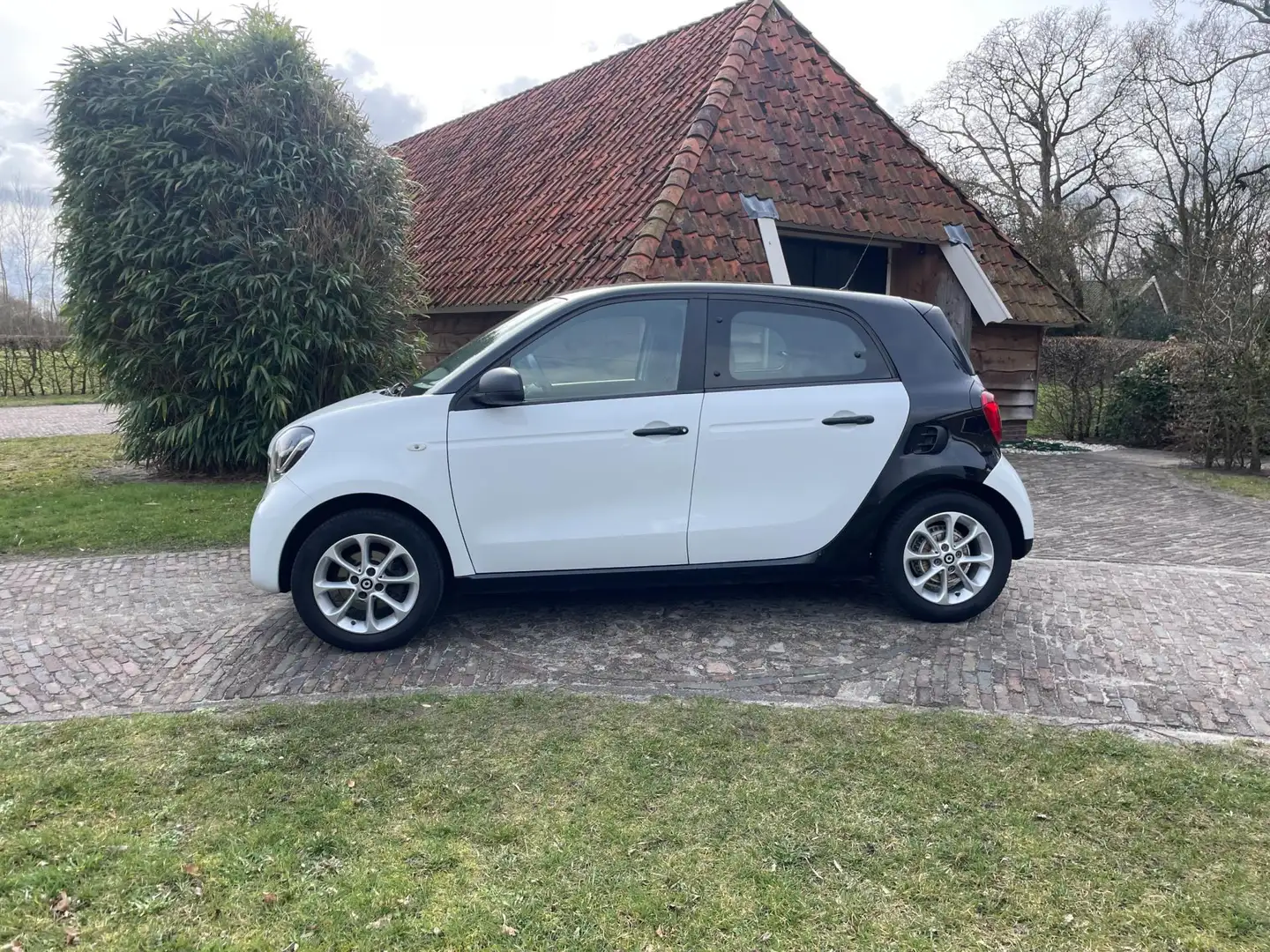 smart forFour 1.0 Pure-CLIMA-BTW-CRUISE-15"LMV-LED- Wit - 2