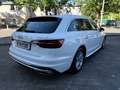 Audi A4 Avant advanced 35 TFSI S tronic Navi Pano Blanc - thumbnail 3