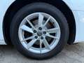 Audi A4 Avant advanced 35 TFSI S tronic Navi Pano Blanc - thumbnail 14