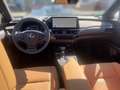 Lexus UX 250h 2.0 Hybrid Executive Line Verde - thumbnail 14